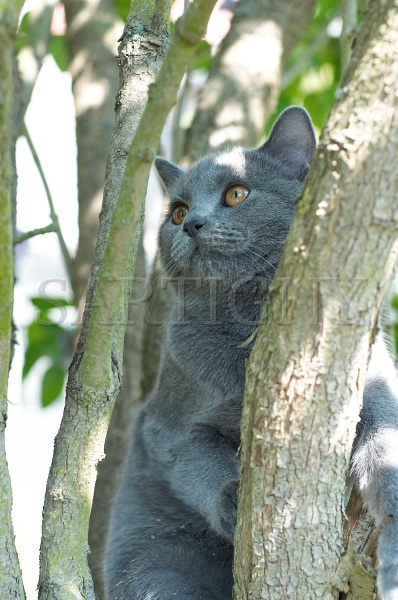CHARTREUX_021.jpg