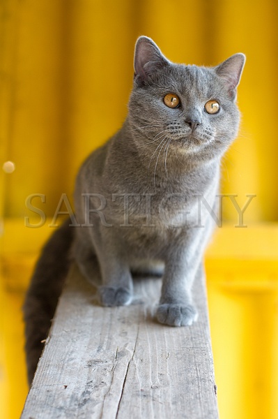 CHARTREUX_043.jpg