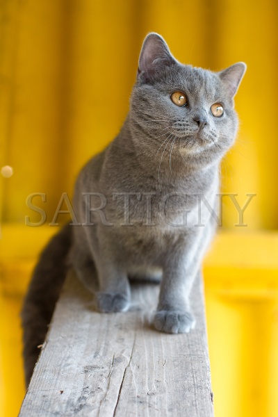 CHARTREUX_044.jpg