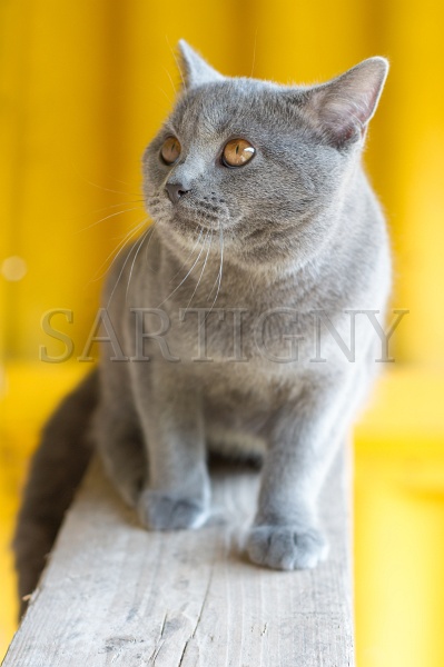 CHARTREUX_046.jpg