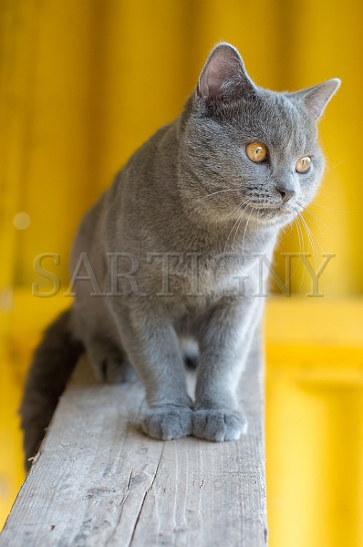 CHARTREUX_048.jpg