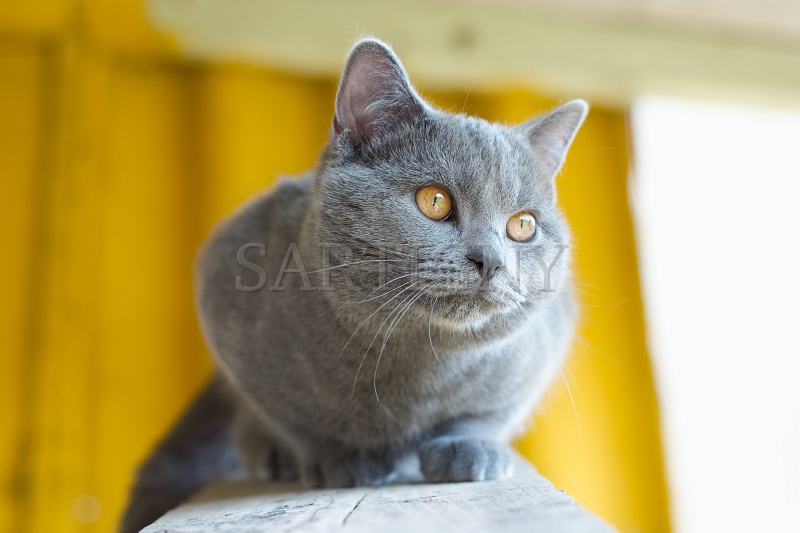 CHARTREUX_049.jpg