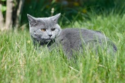 CHARTREUX_002