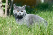 CHARTREUX_004