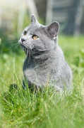 CHARTREUX_014