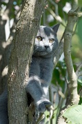 CHARTREUX_020