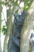 CHARTREUX_021