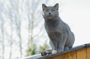 CHARTREUX_033