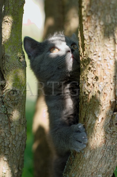 CHARTREUX_C010.jpg