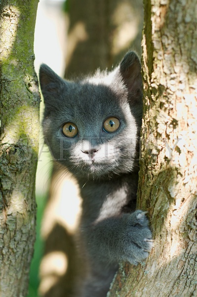 CHARTREUX_C011.jpg