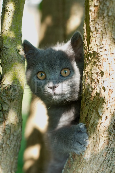 CHARTREUX_C012.jpg