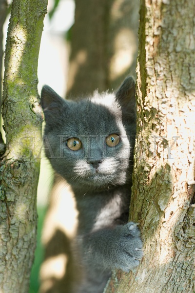 CHARTREUX_C013.jpg