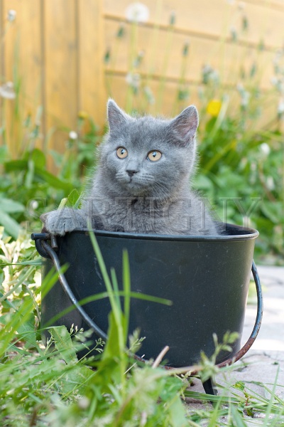 CHARTREUX_C023.jpg
