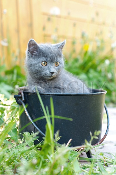 CHARTREUX_C028.jpg