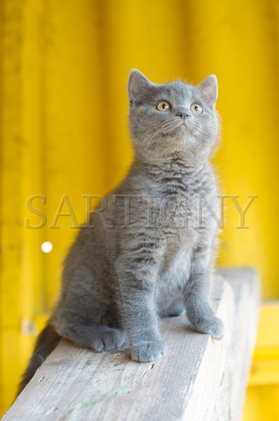 CHARTREUX_C034.jpg
