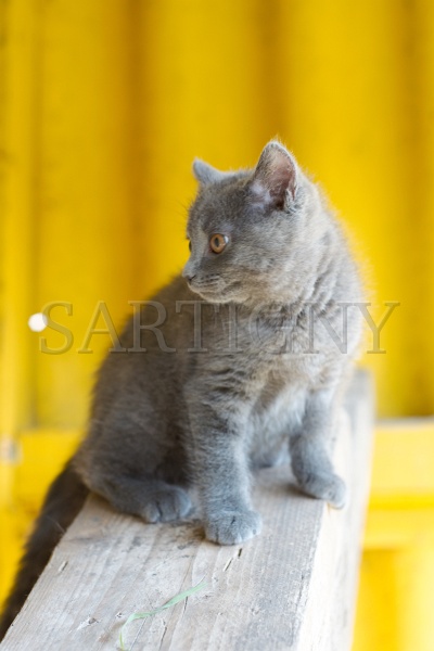 CHARTREUX_C035.jpg