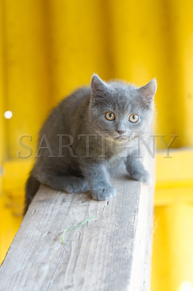 CHARTREUX_C038.jpg