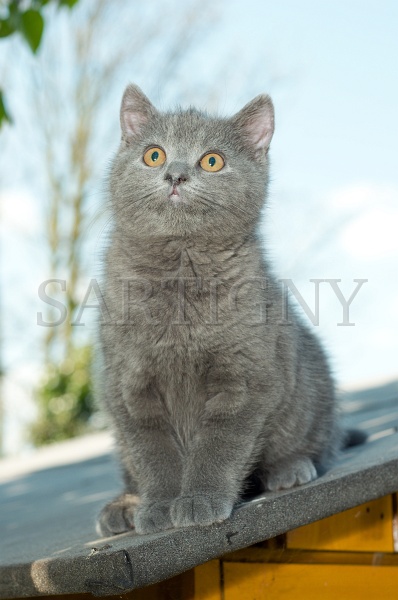 CHARTREUX_C045.jpg