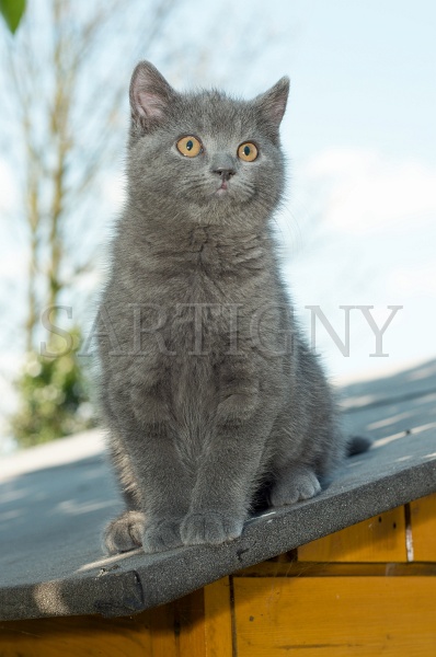 CHARTREUX_C048.jpg