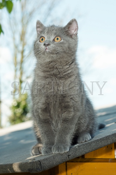 CHARTREUX_C049.jpg
